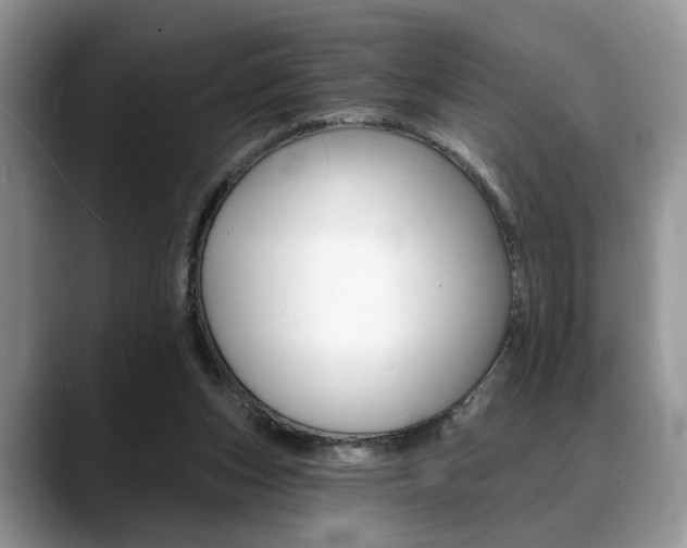 X0000088890159200706080813
