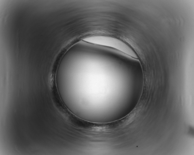 X0000088890160200706080813