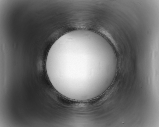 X0000088890161200706080813