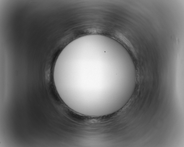 X0000088890163200706080813