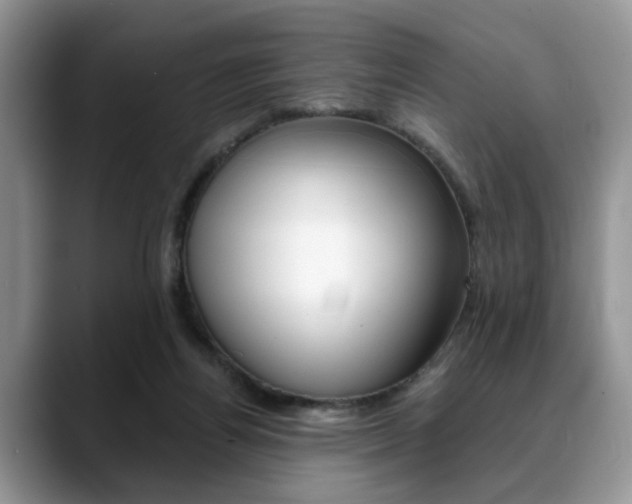 X0000088890164200706080813