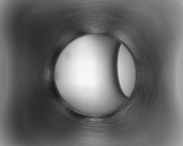 X0000088890165200706080813