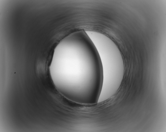 X0000088890168200706080813
