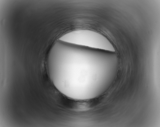 X0000088890169200706080814