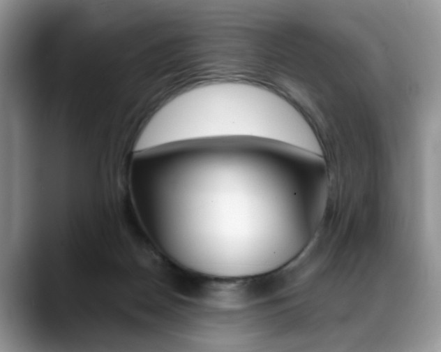 X0000088890170200706080814