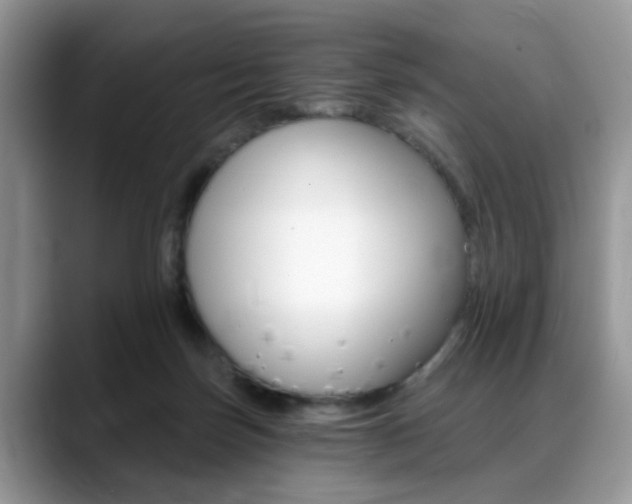 X0000088890171200706080814