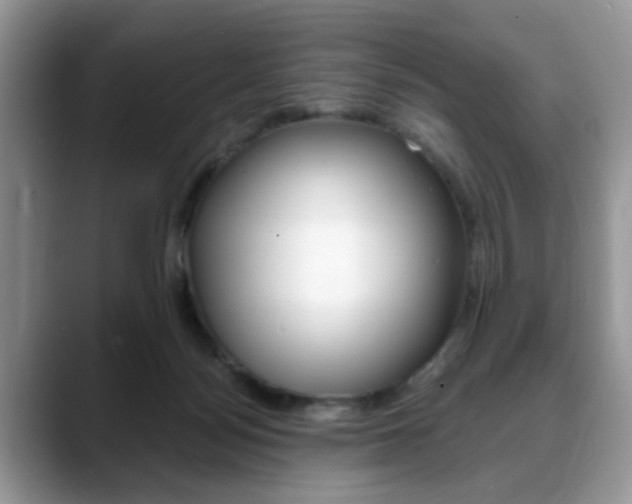 X0000088890172200706080814