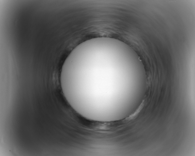 X0000088890182200706080814