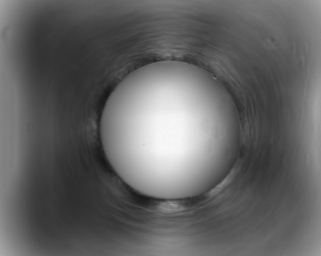 X0000088890183200706080814