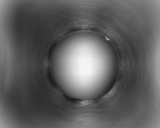 X0000088890184200706080814