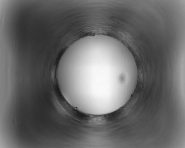 X0000088890185200706080814