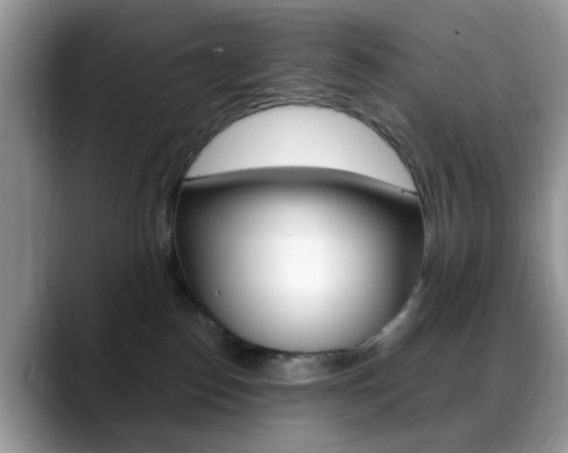 X0000088890186200706080814