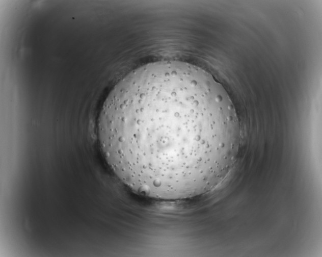 X0000088890187200706080814