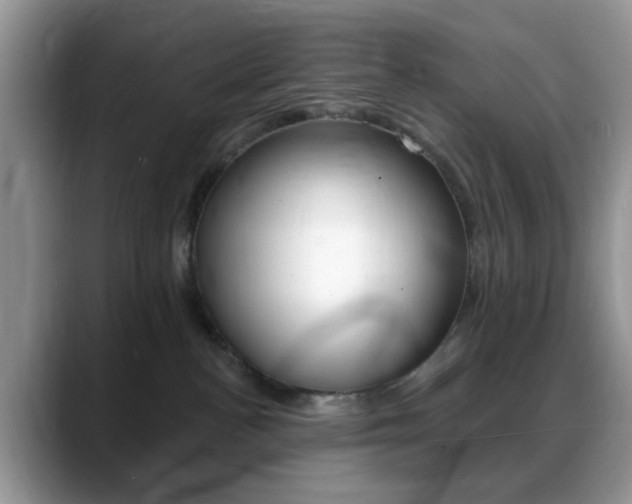 X0000088890188200706080814