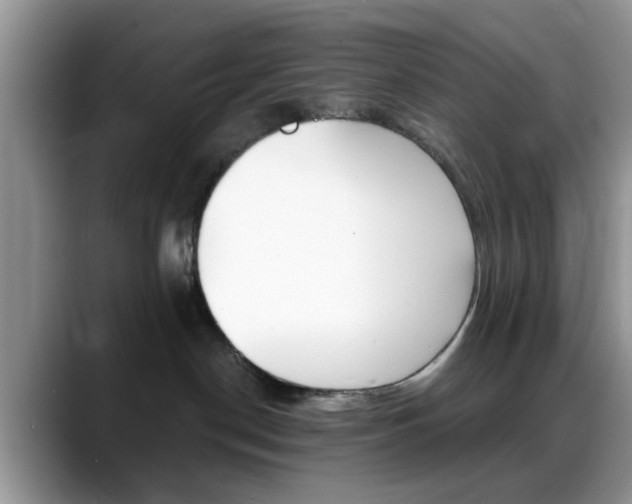 X0000088890190200706080814