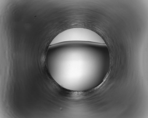 X0000088890192200706080814