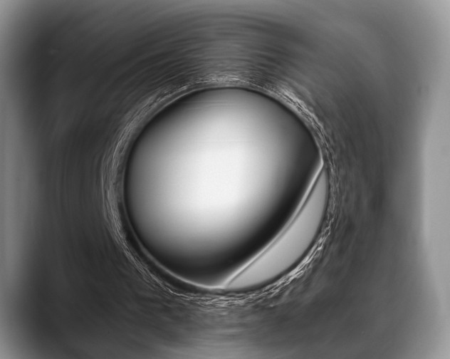 X0000088890193200706080813