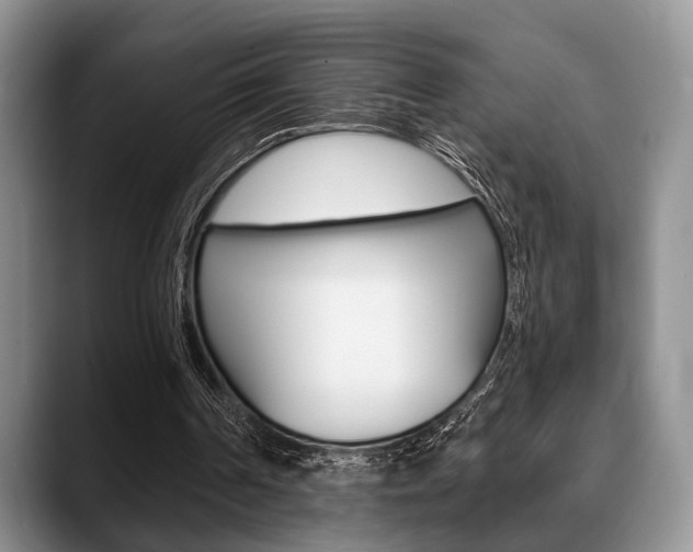 X0000088890194200706080813