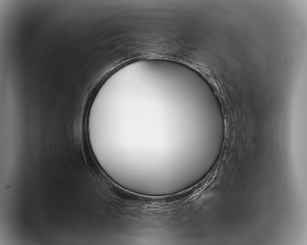 X0000088890196200706080813
