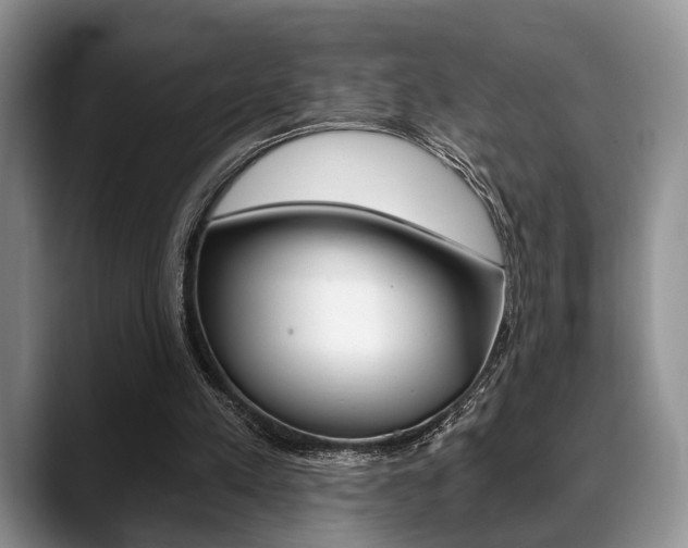 X0000088890197200706080813