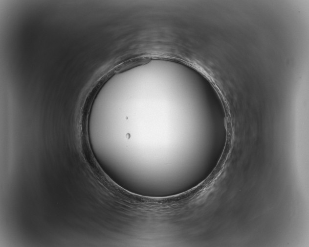 X0000088890199200706080813