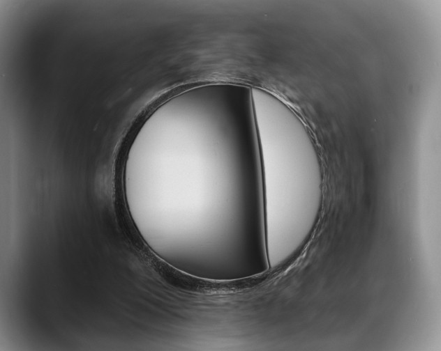 X0000088890200200706080813