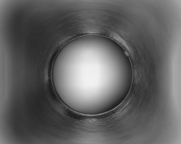 X0000088890203200706080813