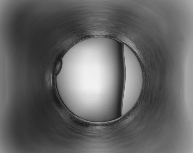 X0000088890205200706080813