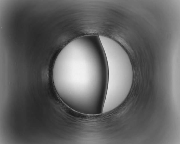 X0000088890207200706080813