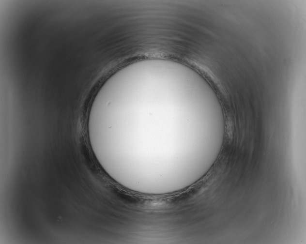 X0000088890208200706080813