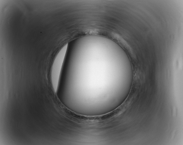 X0000088890209200706080813