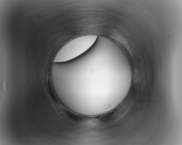 X0000088890210200706080813