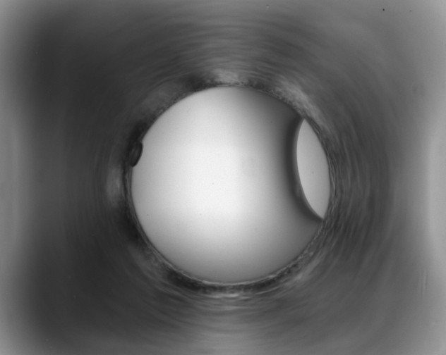 X0000088890213200706080813
