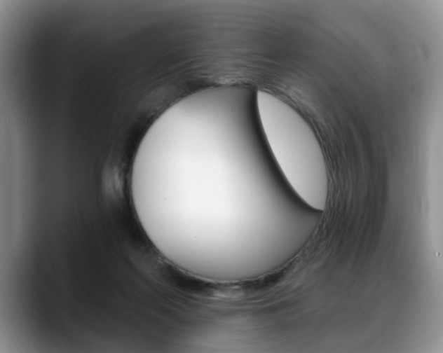 X0000088890214200706080813