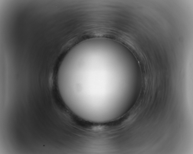 X0000088890216200706080813