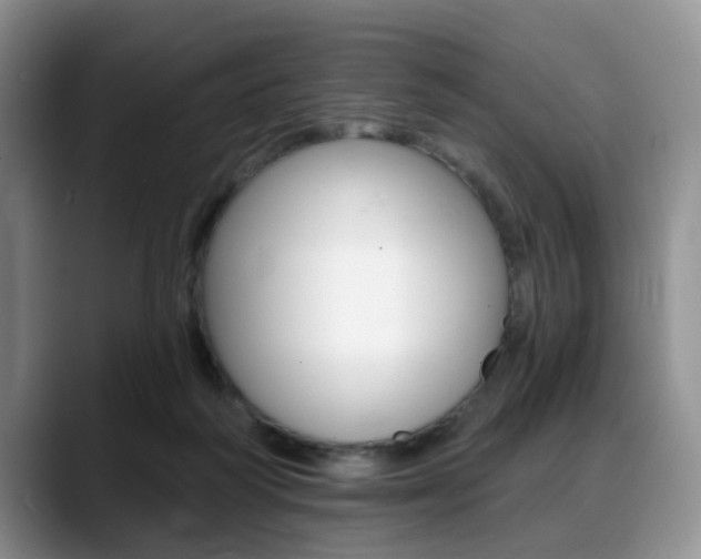 X0000088890218200706080813