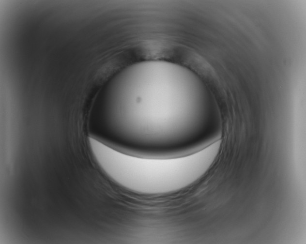 X0000088890219200706080813