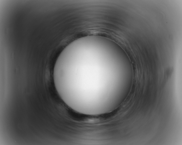 X0000088890220200706080813