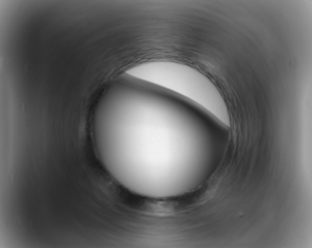 X0000088890221200706080813