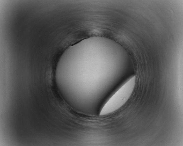 X0000088890223200706080813