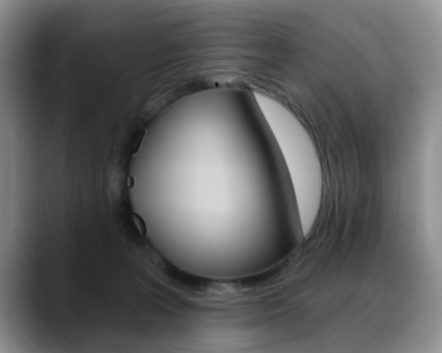 X0000088890227200706080813