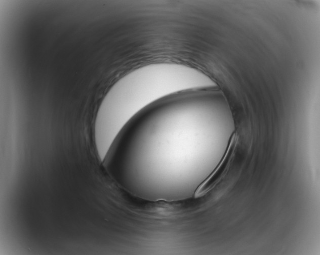 X0000088890229200706080813