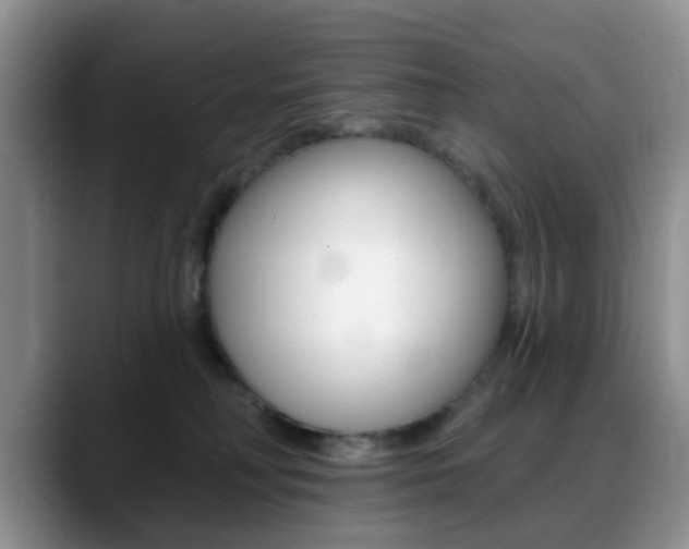 X0000088890230200706080813