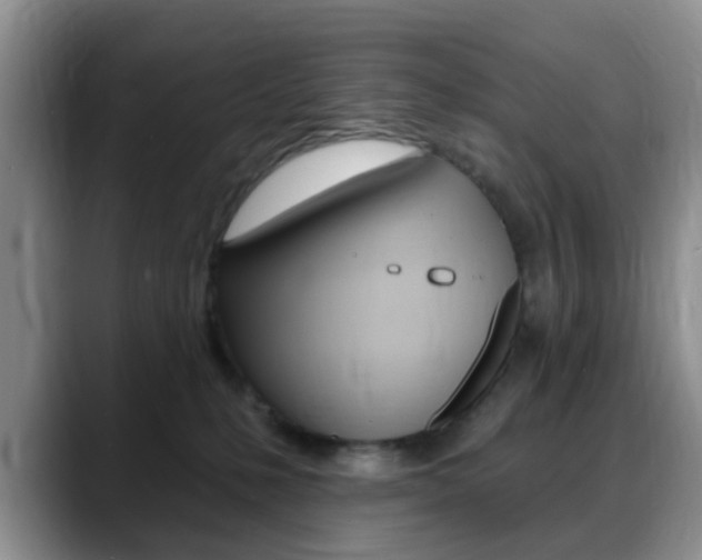 X0000088890231200706080813