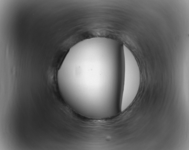 X0000088890233200706080813
