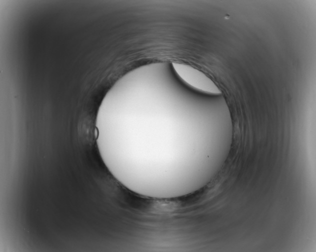 X0000088890234200706080813