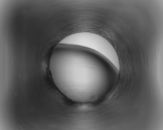 X0000088890235200706080813