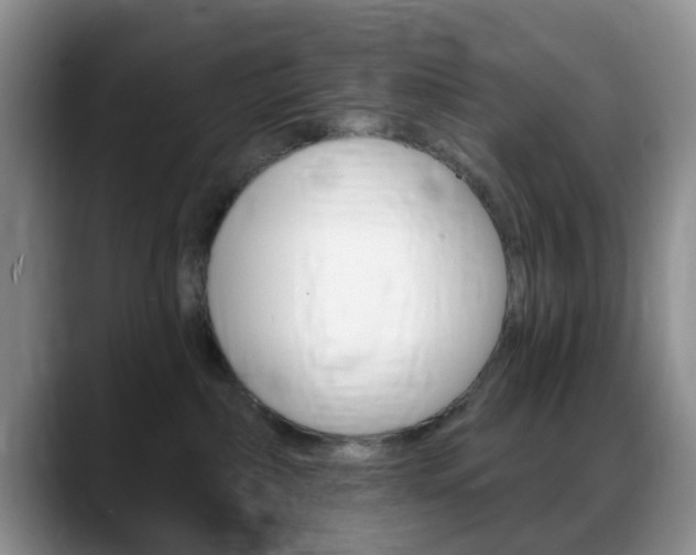 X0000088890236200706080813
