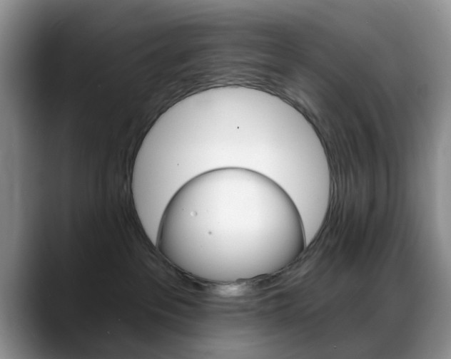X0000088890237200706080813