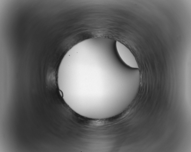 X0000088890238200706080813